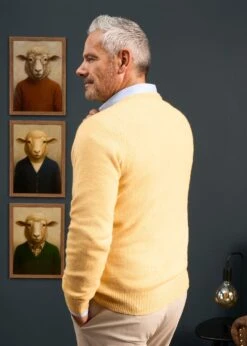 Hampshire Lambswool Jumper In Canary - Classic Fit 9 Hampshire Lambswool Jumper In Canary - Classic Fit -AlanPaine Shop Hampshire lambswool jumper canary 3