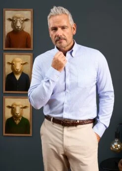 Men's Cotton Button Down Blue Striped Shirt - Regular Fit 6 Men's Cotton Button Down Blue Striped Shirt - Regular Fit -AlanPaine Shop Mens Cotton Button Down Shirt Blue Striped 3