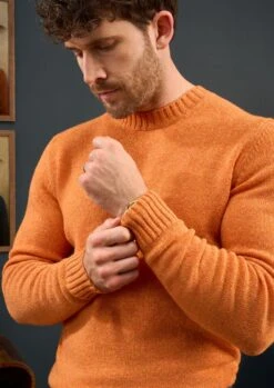 Kinnadie Supersoft Shetland Clementine Jumper - Regular Fit 8 Kinnadie Supersoft Shetland Clementine Jumper - Regular Fit -AlanPaine Shop Mens Shetland Wool Jumper Orange 3 1 5e53fbcb ce29 4fd7 93cf d737c99ab44e