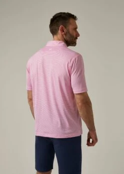 Waterbeach Striped Polo Shirt In Carnation - Sports Fit -AlanPaine Shop ls2302 waterbeach short sleeve polo s2356 3