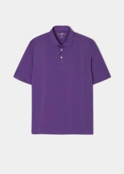 Rockbourne Performance Polo In Plum - Sports Fit